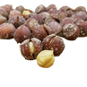 files/findik-fosa-kavrulmus-2.png