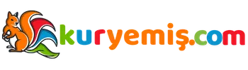 kuryemiscomlogoyeni