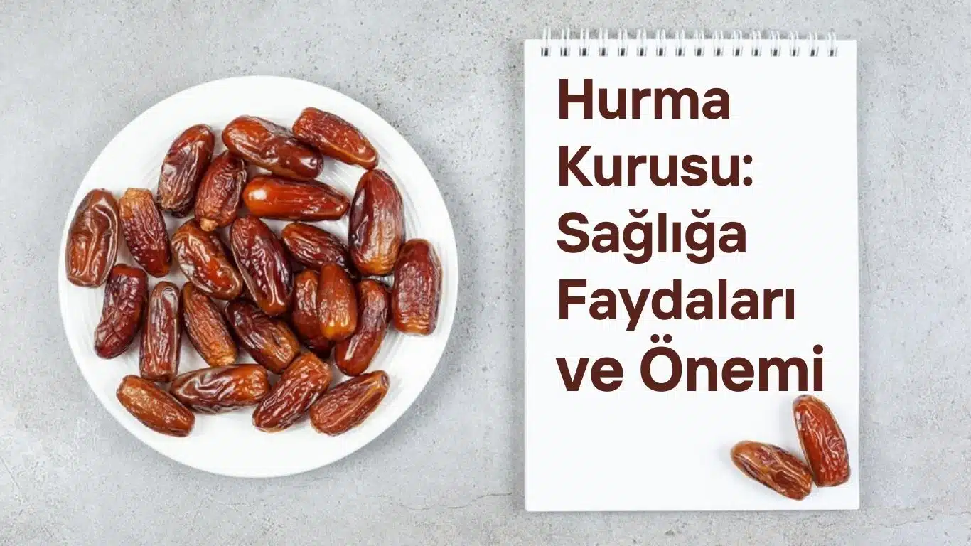Hurma Kurusu