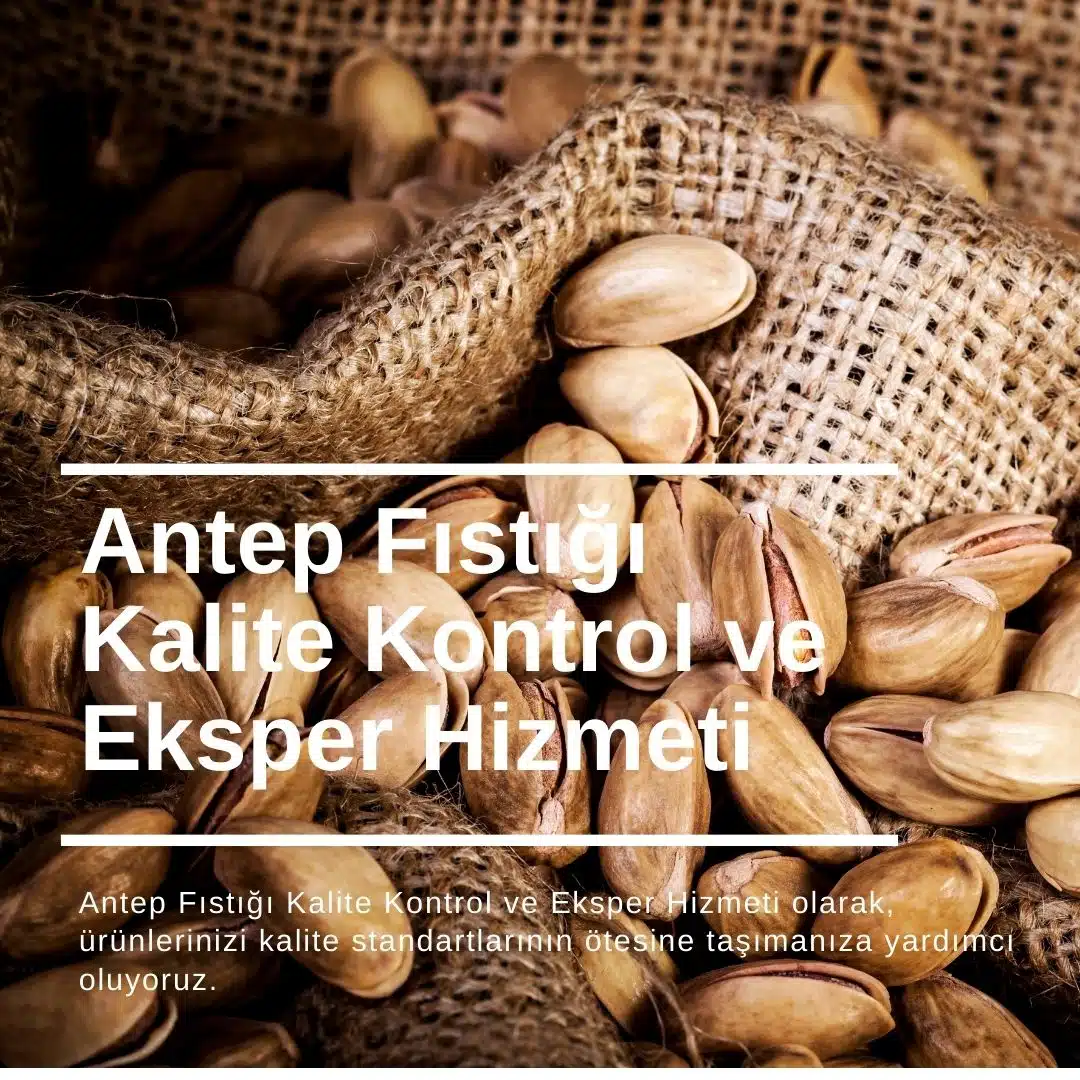 Antep Fıstığı