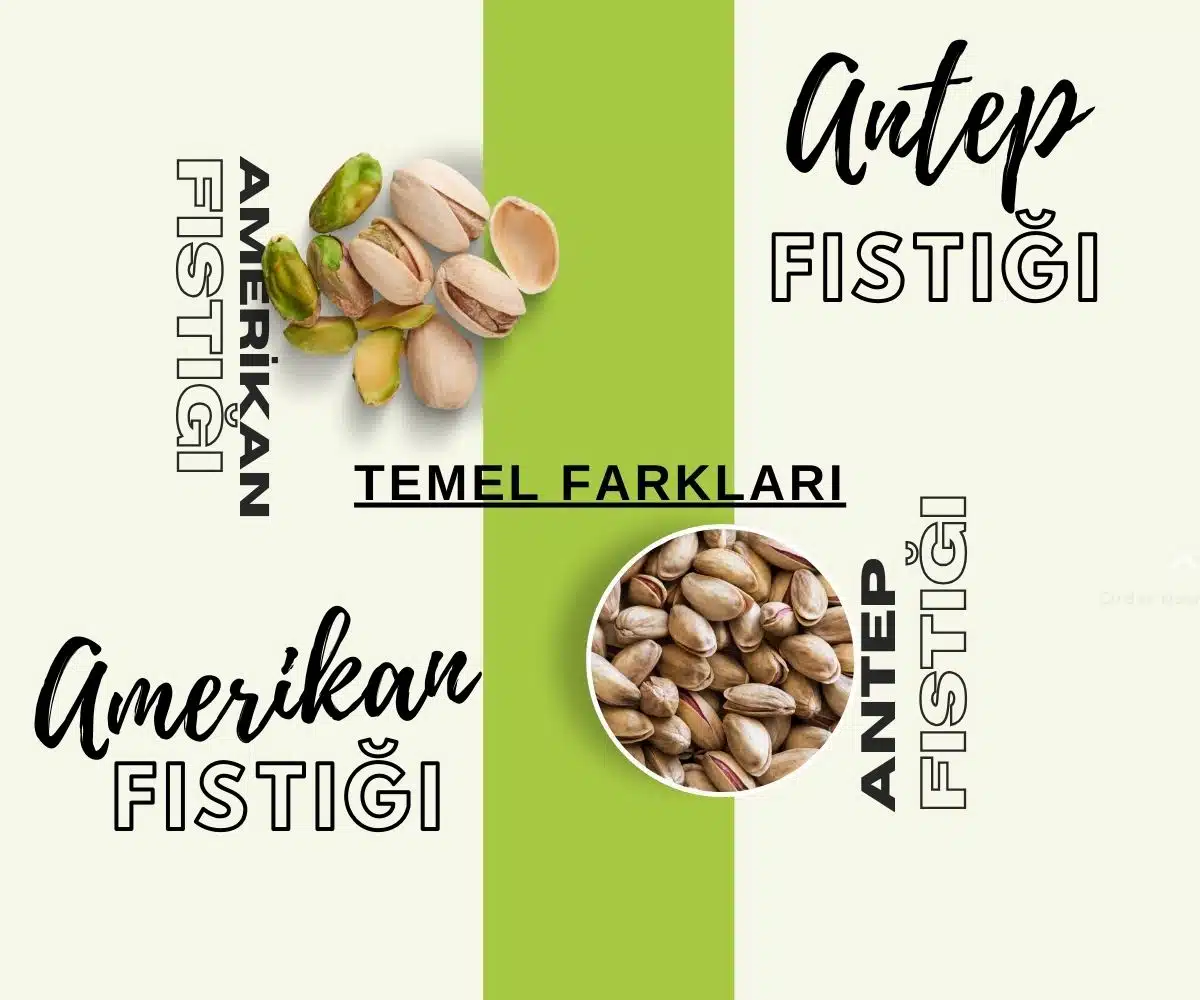 Antep Fıstığı ve Amerikan Fıstığı