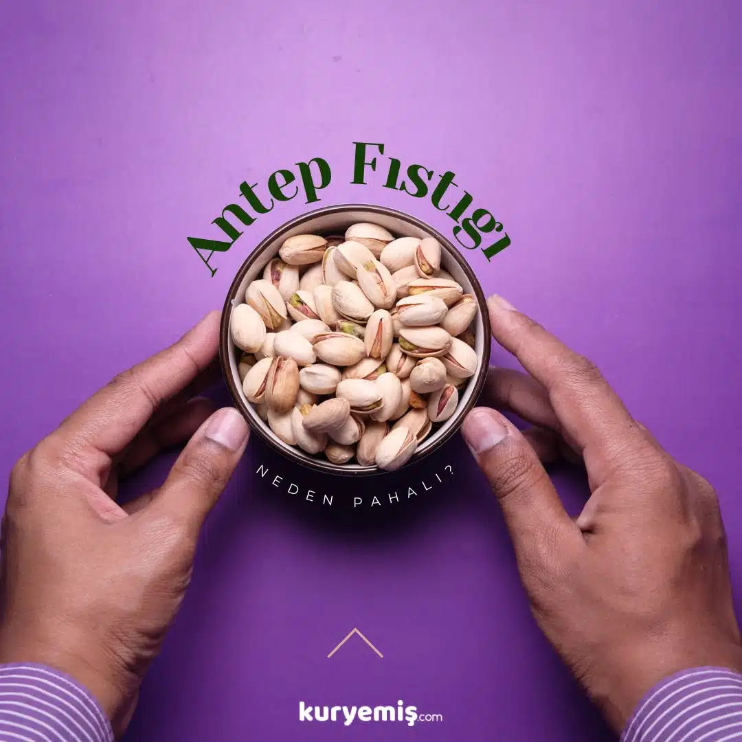 antep fıstığı