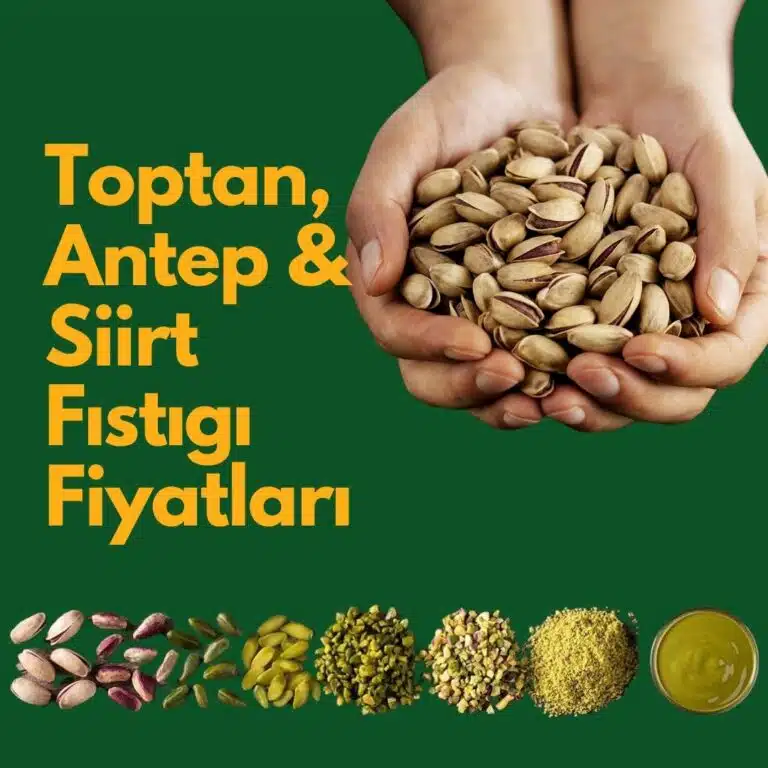 Toptan Antep ve Siirt Fıstığı Fiyatları 2026